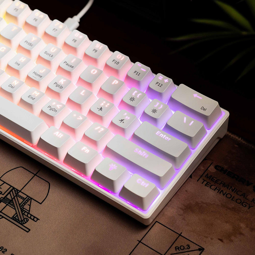 RGB Backlit 60% Mechanical Keyboard - Compact 61 Key Wired Gaming Keyboard for PC, White (Rainbow LED)